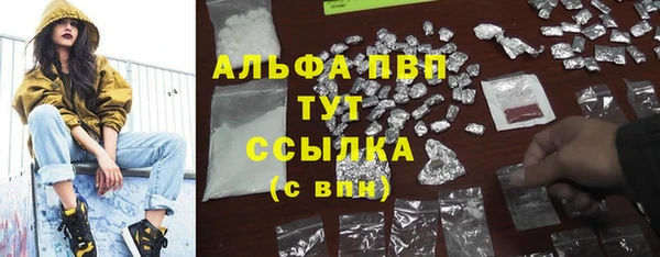 эйфоретик Верея