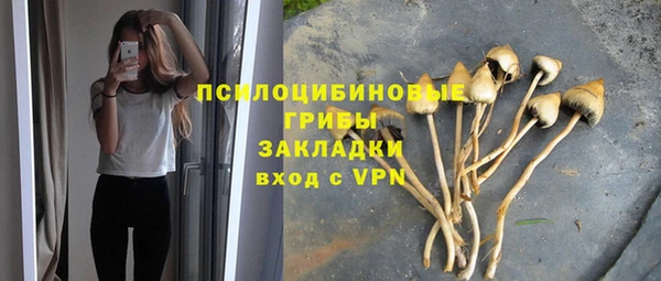 соль курить ск Верхний Тагил