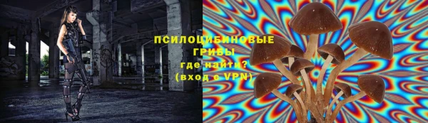 эйфоретик Верея